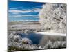 Frozen Pond and Hoar Frost on Willow Tree, near Omakau, Hawkdun Ranges, Central Otago, New Zealand-David Wall-Mounted Photographic Print