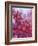 Frozen Raspberries-Chris Sch?fer-Framed Photographic Print