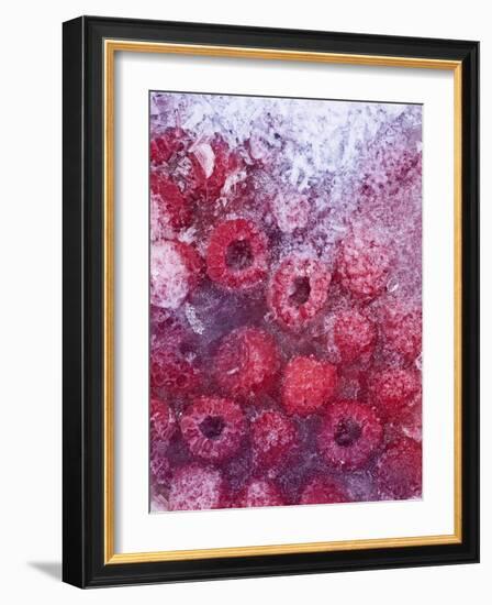 Frozen Raspberries-Chris Sch?fer-Framed Photographic Print