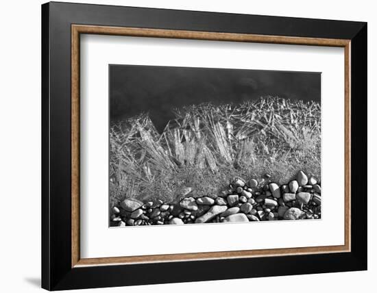 Frozen River's Edge-Savanah Plank-Framed Photo