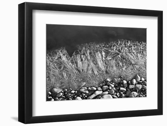 Frozen River's Edge-Savanah Plank-Framed Photo