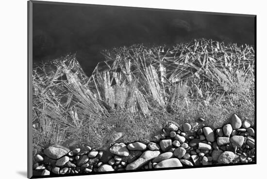 Frozen River's Edge-Savanah Plank-Mounted Photo