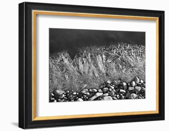 Frozen River's Edge-Savanah Plank-Framed Photo