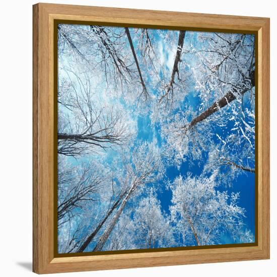 Frozen Sky-Philippe Sainte-Laudy-Framed Premier Image Canvas