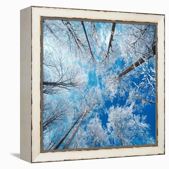 Frozen Sky-Philippe Sainte-Laudy-Framed Premier Image Canvas