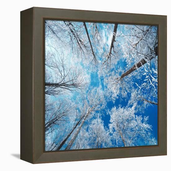 Frozen Sky-Philippe Sainte-Laudy-Framed Premier Image Canvas