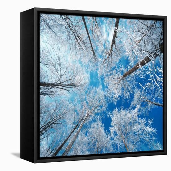 Frozen Sky-Philippe Sainte-Laudy-Framed Premier Image Canvas