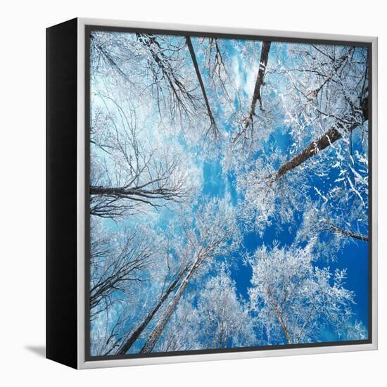 Frozen Sky-Philippe Sainte-Laudy-Framed Premier Image Canvas