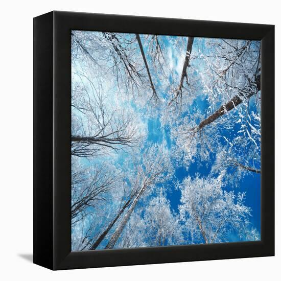 Frozen Sky-Philippe Sainte-Laudy-Framed Stretched Canvas