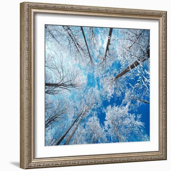 Frozen Sky-Philippe Sainte-Laudy-Framed Photographic Print