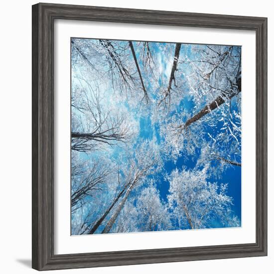 Frozen Sky-Philippe Sainte-Laudy-Framed Photographic Print