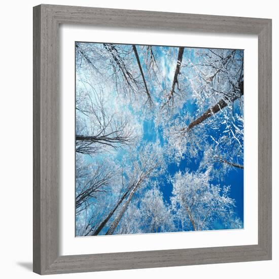 Frozen Sky-Philippe Sainte-Laudy-Framed Photographic Print