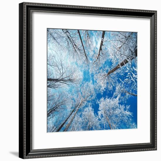 Frozen Sky-Philippe Sainte-Laudy-Framed Photographic Print