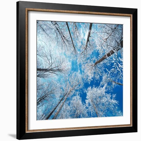 Frozen Sky-Philippe Sainte-Laudy-Framed Photographic Print