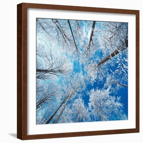 Frozen Sky-Philippe Sainte-Laudy-Framed Photographic Print