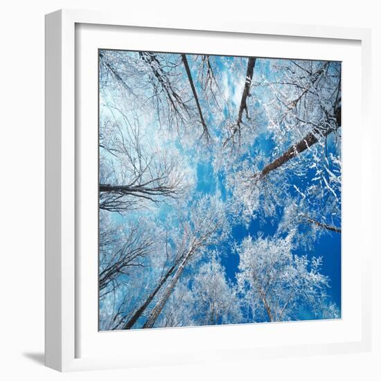 Frozen Sky-Philippe Sainte-Laudy-Framed Photographic Print