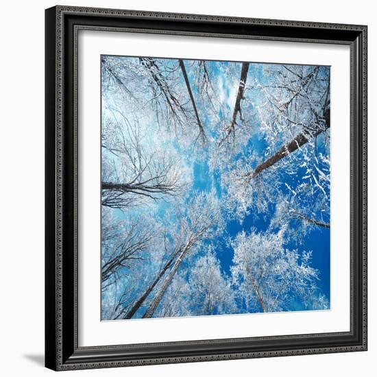 Frozen Sky-Philippe Sainte-Laudy-Framed Photographic Print