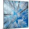 Frozen Sky-Philippe Sainte-Laudy-Mounted Photographic Print