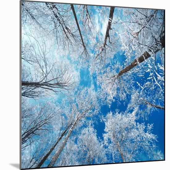 Frozen Sky-Philippe Sainte-Laudy-Mounted Photographic Print