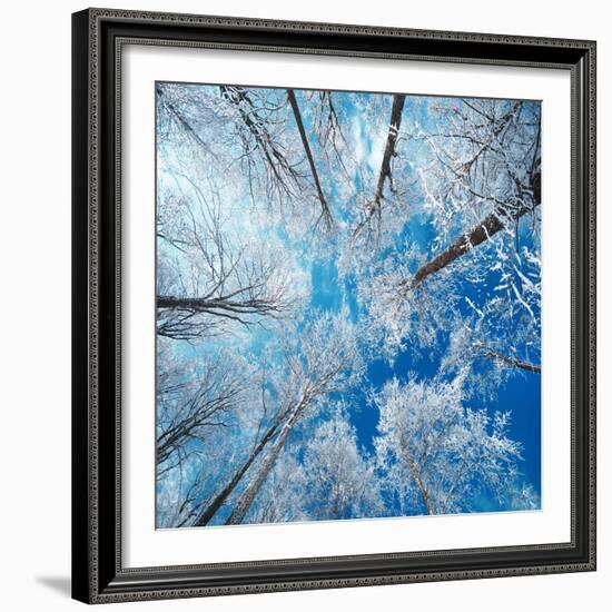 Frozen Sky-Philippe Sainte-Laudy-Framed Photographic Print