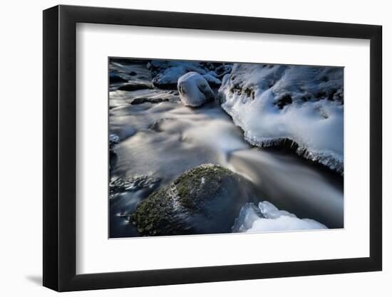 Frozen Stream Course in the Winter Wood-Falk Hermann-Framed Photographic Print