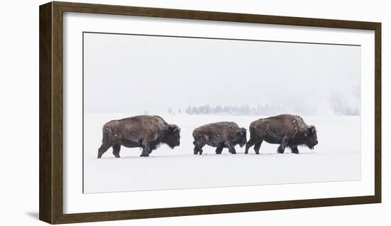 Frozen Trek-Wink Gaines-Framed Giclee Print