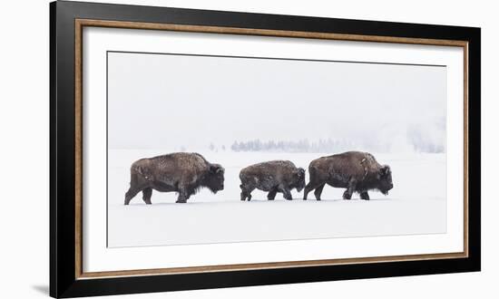 Frozen Trek-Wink Gaines-Framed Giclee Print