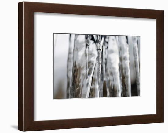 Frozen waterfall-Angela Marsh-Framed Photographic Print