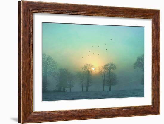 Frozen-Viviane Fedieu Daniel-Framed Photographic Print