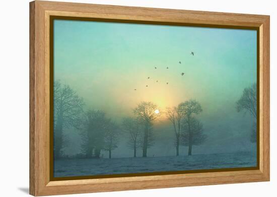 Frozen-Viviane Fedieu Daniel-Framed Premier Image Canvas