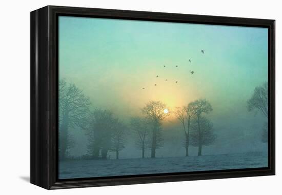 Frozen-Viviane Fedieu Daniel-Framed Premier Image Canvas