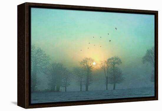 Frozen-Viviane Fedieu Daniel-Framed Premier Image Canvas