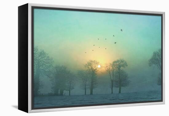 Frozen-Viviane Fedieu Daniel-Framed Premier Image Canvas