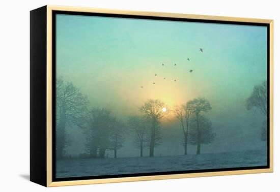 Frozen-Viviane Fedieu Daniel-Framed Premier Image Canvas