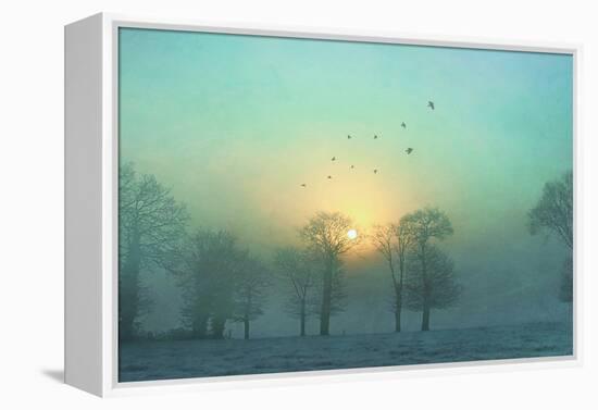 Frozen-Viviane Fedieu Daniel-Framed Premier Image Canvas