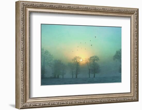 Frozen-Viviane Fedieu Daniel-Framed Premium Photographic Print