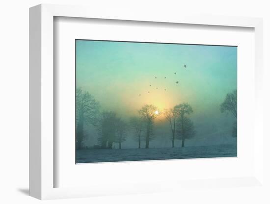 Frozen-Viviane Fedieu Daniel-Framed Premium Photographic Print