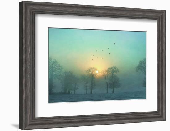 Frozen-Viviane Fedieu Daniel-Framed Photographic Print