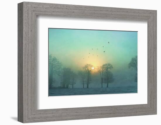 Frozen-Viviane Fedieu Daniel-Framed Photographic Print