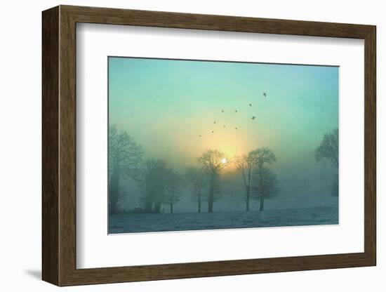 Frozen-Viviane Fedieu Daniel-Framed Photographic Print