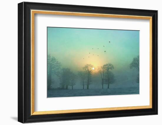 Frozen-Viviane Fedieu Daniel-Framed Photographic Print