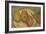 Fruit, 1922 (Oil on Cardboard)-Mark Gertler-Framed Giclee Print