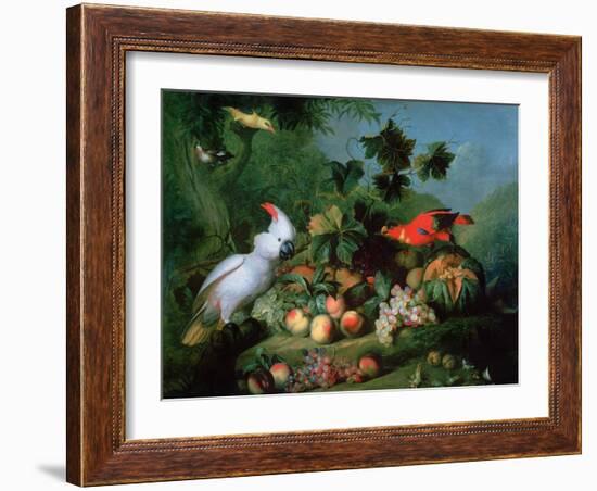 Fruit and Birds-Jakob Bogdani Or Bogdany-Framed Giclee Print