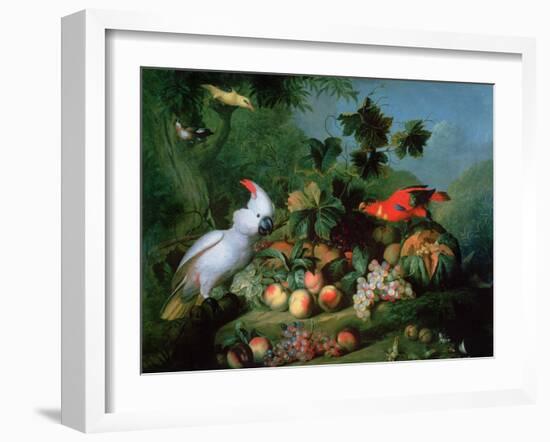 Fruit and Birds-Jakob Bogdani Or Bogdany-Framed Giclee Print