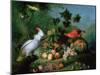 Fruit and Birds-Jakob Bogdani Or Bogdany-Mounted Giclee Print