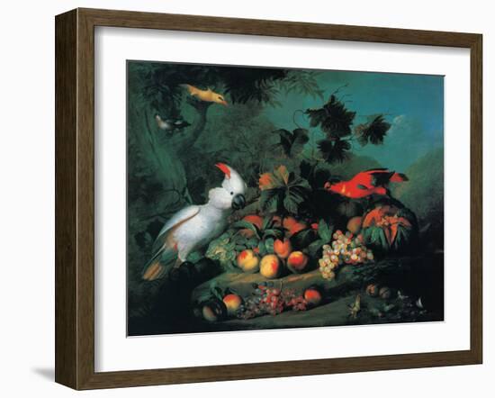 Fruit and Birds-Jakob Bogdany-Framed Art Print