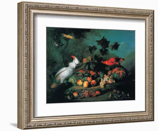 Fruit and Birds-Jakob Bogdany-Framed Art Print