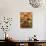 Fruit and Vegetable Display, La Boqueria, Market, Barcelona, Catalonia, Spain, Europe-Martin Child-Photographic Print displayed on a wall