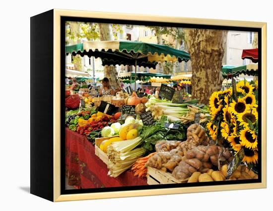 Fruit and Vegetable Market, Aix-En-Provence, Bouches-Du-Rhone, Provence, France, Europe-Peter Richardson-Framed Premier Image Canvas