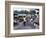 Fruit and Vegetable Market at Scarborough, Tobago, West Indies, Caribbean, Central America-Yadid Levy-Framed Photographic Print